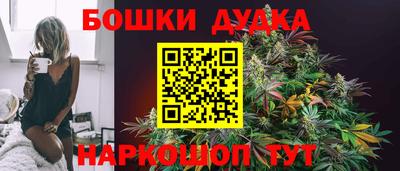 мдпв Камышлов