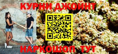 мдпв Камышлов
