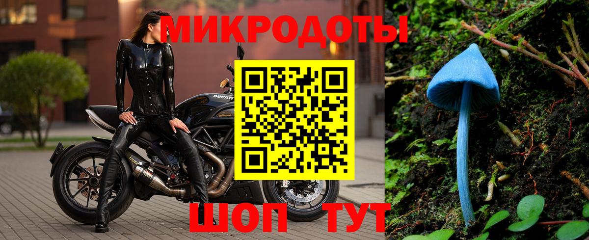 наркошоп  Вход с VPN  Галлюциногенные грибы Magic Shrooms  Чапаевск  Псилоцибиновые грибы Cubensis 